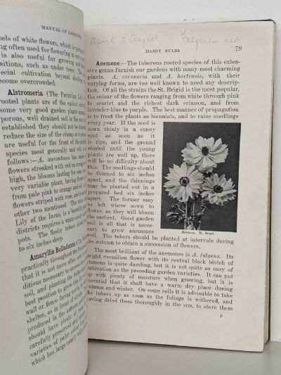 MANUAL OF GARDENING IN NEW ZEALAND