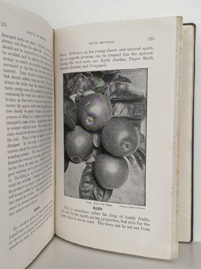 MANUAL OF GARDENING IN NEW ZEALAND