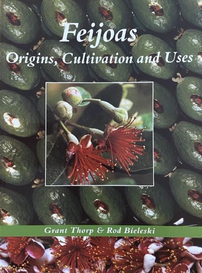 FEIJOAS: Origins, Cultivation and Uses