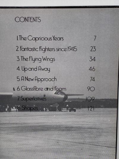 FANTASTIC FLYING MACHINES