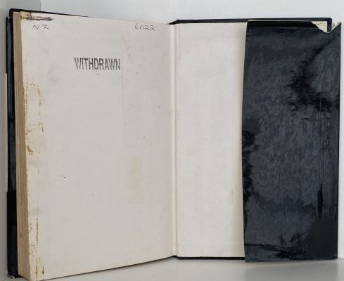 FLIGHT OF THE KIWI: Around the world solo in a tiny single engine plane