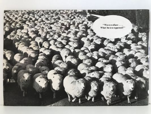 GIDDINBEHIND: The Muldoon Home and Hosed Edition