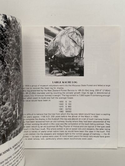 Otamatea Kauri & Pioneer Museum Matakohe, Northland