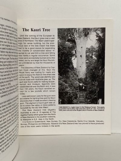 Otamatea Kauri & Pioneer Museum Matakohe, Northland