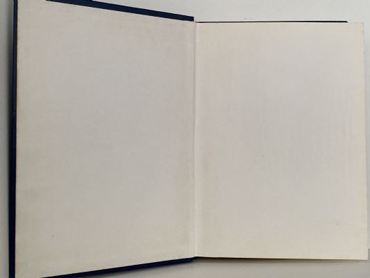 BATTLES, BUGGIES AND BABIES