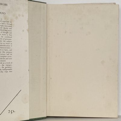 TREES AND SHRUBS OF NEW ZEALAND