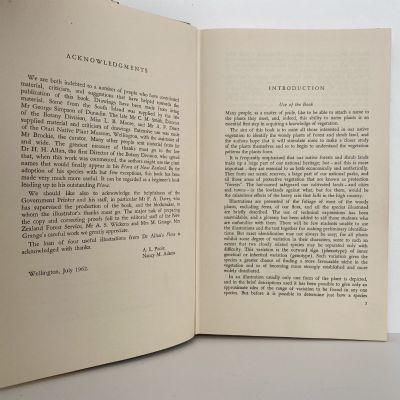 TREES AND SHRUBS OF NEW ZEALAND