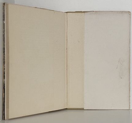 MUSTERER ON MOLESWORTH