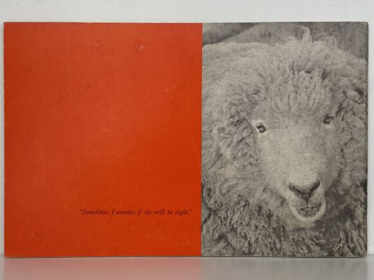 TAKE ME TO YOUR LEADERS