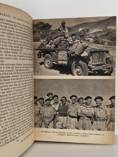 POPSKI'S PRIVATE ARMY