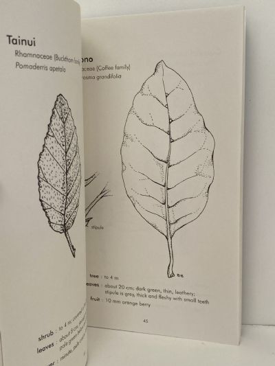 NATIVE TREES AND SHRUBS OF THE HAURAKI GULF ISLANDS