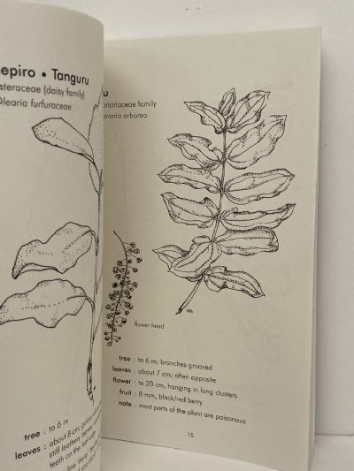 NATIVE TREES AND SHRUBS OF THE HAURAKI GULF ISLANDS