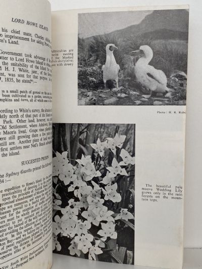 LORD HOWE ISLAND: Its Discovery and Early Associations 1788 to 1888