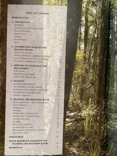 KAURI: Ecology, Establishment, Growth, and Management