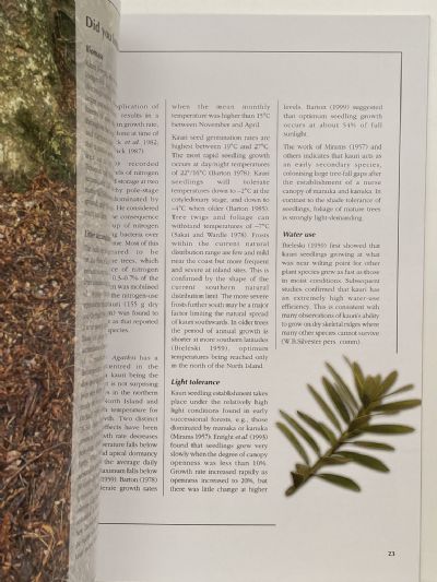 KAURI: Ecology, Establishment, Growth, and Management