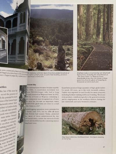 KAURI: Ecology, Establishment, Growth, and Management