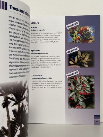 GROWING WITH CONFIDENCE: A Planting Guide for the Chatham Islands