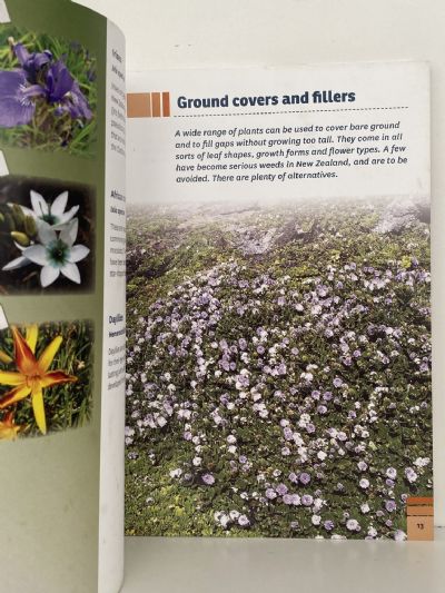 GROWING WITH CONFIDENCE: A Planting Guide for the Chatham Islands