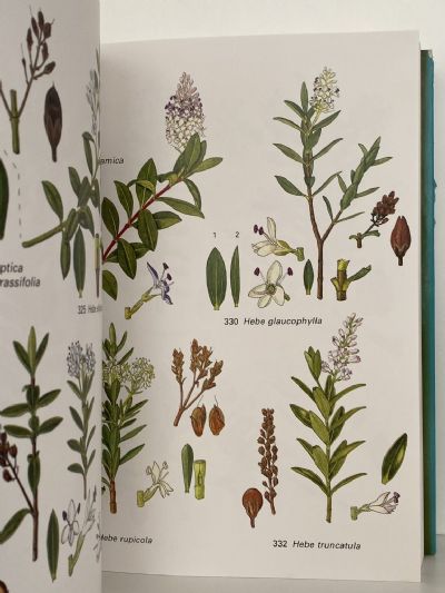 EAGLE'S TREES AND SHRUBS OF NEW ZEALAND: Volume One and Volume Two