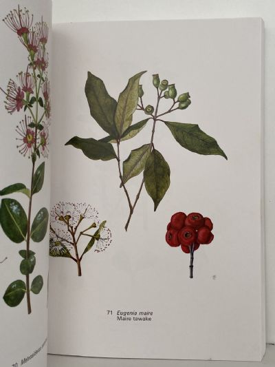 EAGLE'S TREES AND SHRUBS OF NEW ZEALAND: Volume One and Volume Two