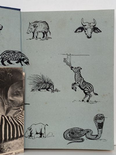 THE ORPHANS OF TSAVO