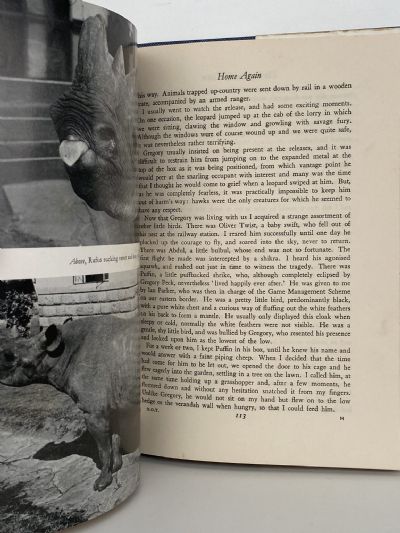 THE ORPHANS OF TSAVO