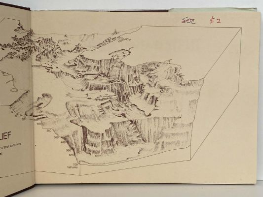 COOK'S WILD STRAIT: The Interisland Story