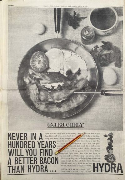 VINTAGE NEWSPAPER ADVERT: Hydra Bacon 1964