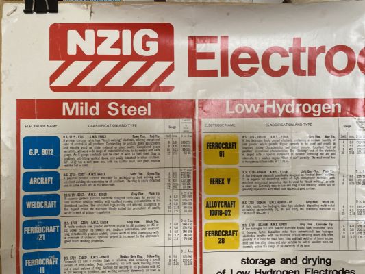 VINTAGE POSTER: NZIG Electrode Chart