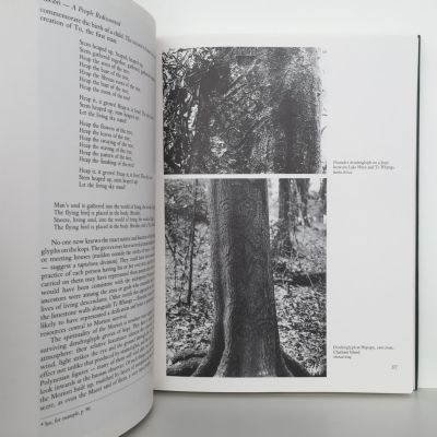 Moriori : A People Rediscovered