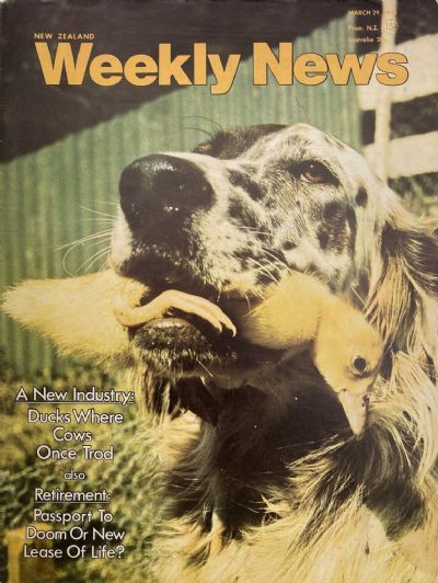 OLD NEWSPAPER: New Zealand Weekly News - No. 5599, 29 March 1971