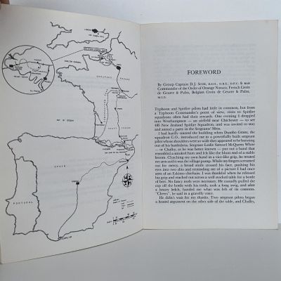 PILOT ON THE RUN: The Epic Escape of RNZAF Flight Sergeant