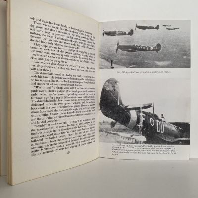 PILOT ON THE RUN: The Epic Escape of RNZAF Flight Sergeant