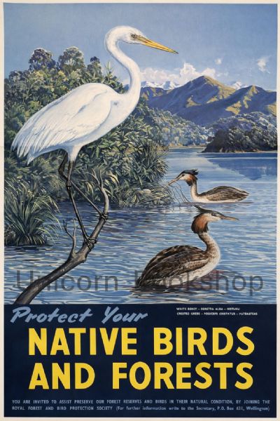VINTAGE POSTER: Protect Your Native Birds and Forests