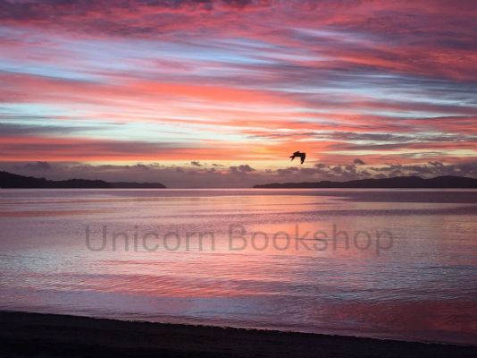 SUNRISE at Snells Beach, New Zealand
