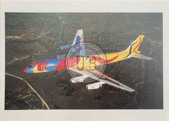 VINTAGE POSTER: Calder DC-8 1973