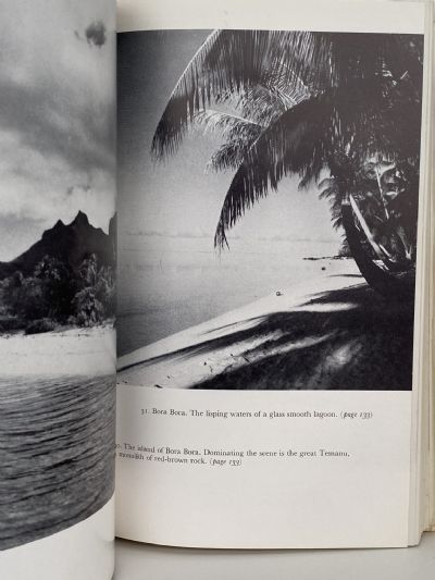 THE GOLDEN HAZE: With Captain Cook in the South Pacific