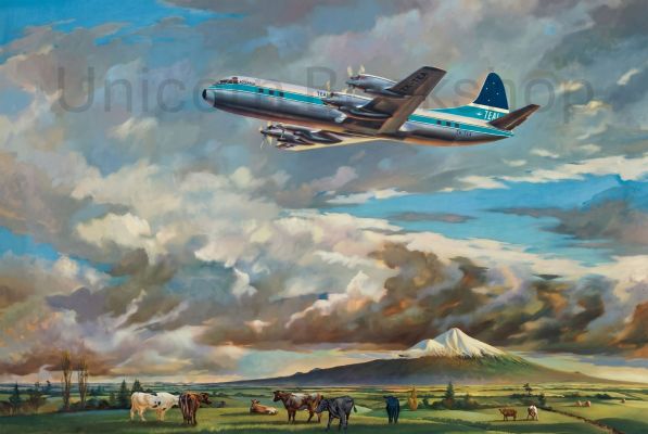 VINTAGE POSTER: TEAL Lockheed Electra ZK-TEA in flight