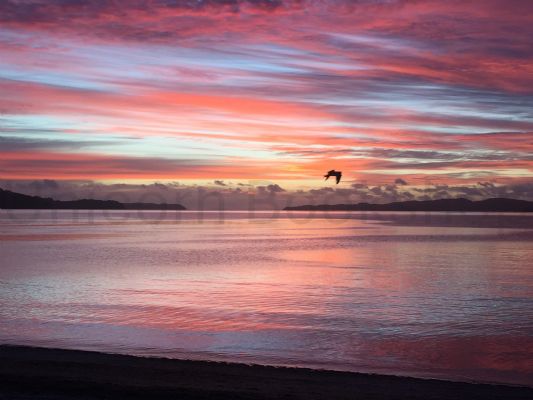 WALL PRINT: Sunrise at Snells Beach, New Zealand
