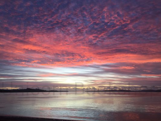 WALL PRINT: Sunrise Snells Beach, New Zealand