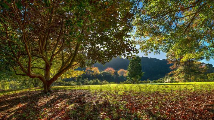 WALL PRINT: Clear early autumn morning in Warkworth