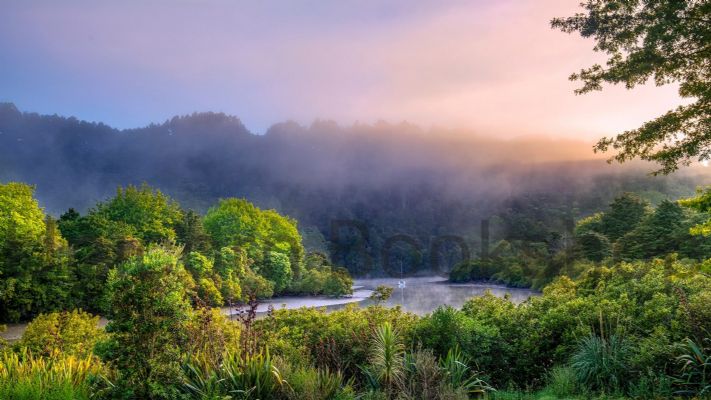 WALL PRINT: Morning Mist overlooking the Mahurangi River, Warkworth