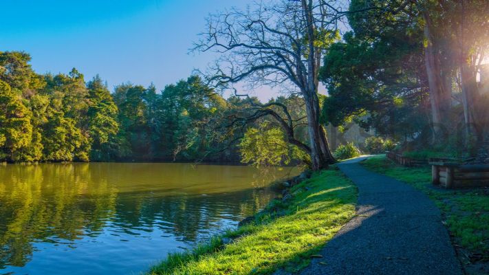 WALL PRINT: Early morning walk, Mahurangi River in Warkworth