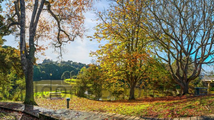 WALL PRINT: Mahurangi River passing the Warkworth Footbridge