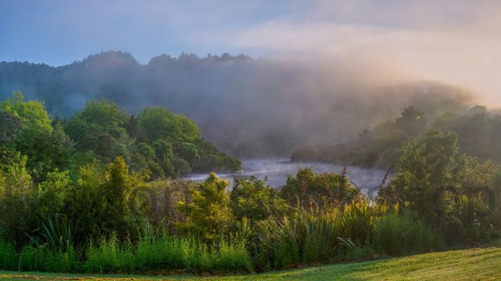 WALL PRINT: Mahurangi River in Early Morning Fog, Warkworth, New Zealand