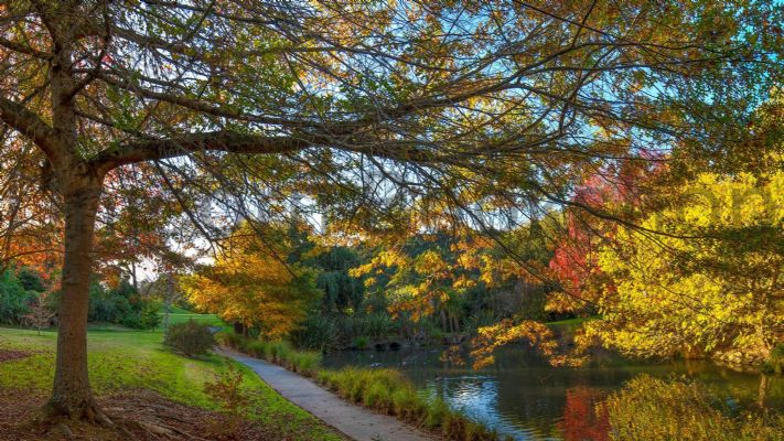 WALL PRINT: Autumn Morning in Lucy Moore Park, Warkworth