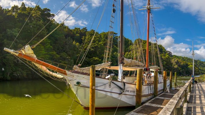 WALL PRINT: Jane Gifford on the Mahurangi River, Warkworth