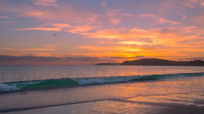 WALL PRINT: Omaha Beach, North Auckland