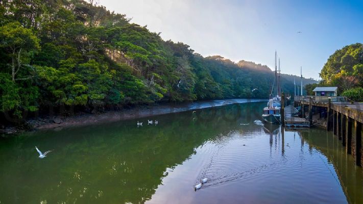 WALL PRINT: Sunrise on the Mahurangi River, Warkworth, New Zealand