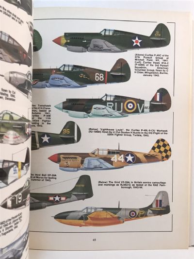 U.S. ARMY AIR FORCE FIGHTERS: Parts 1 and 2